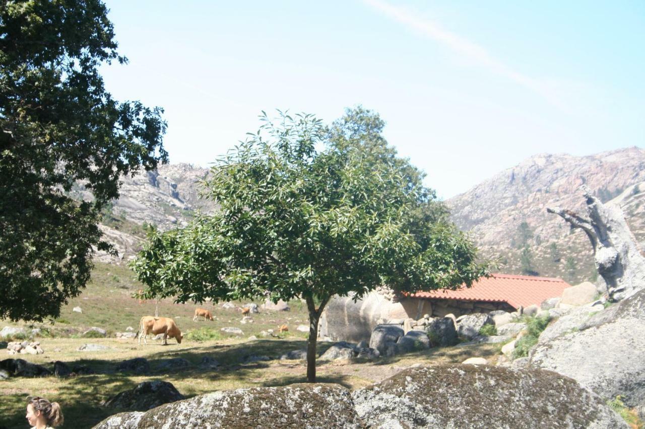 Villa Casa Sambinho Gerês à Rio Caldo Extérieur photo